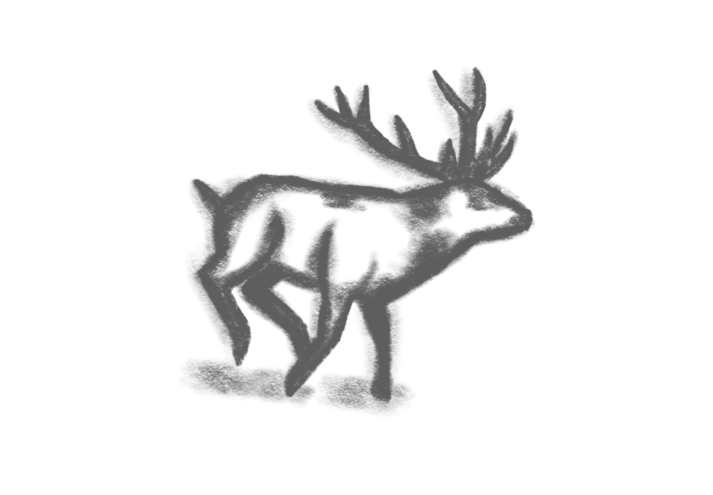 A simple charcoal drawing of a deer